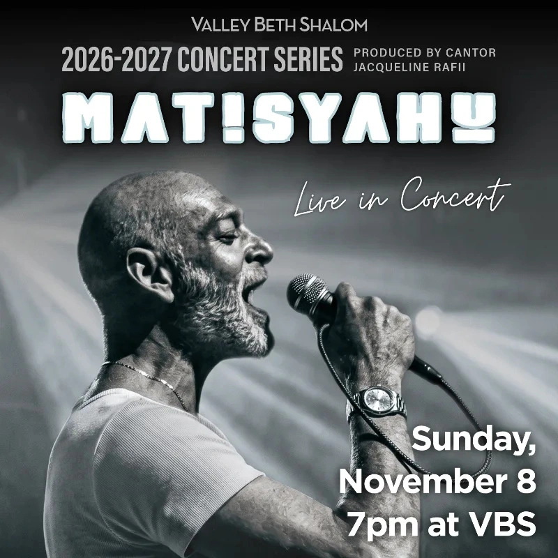 Matisyahu
