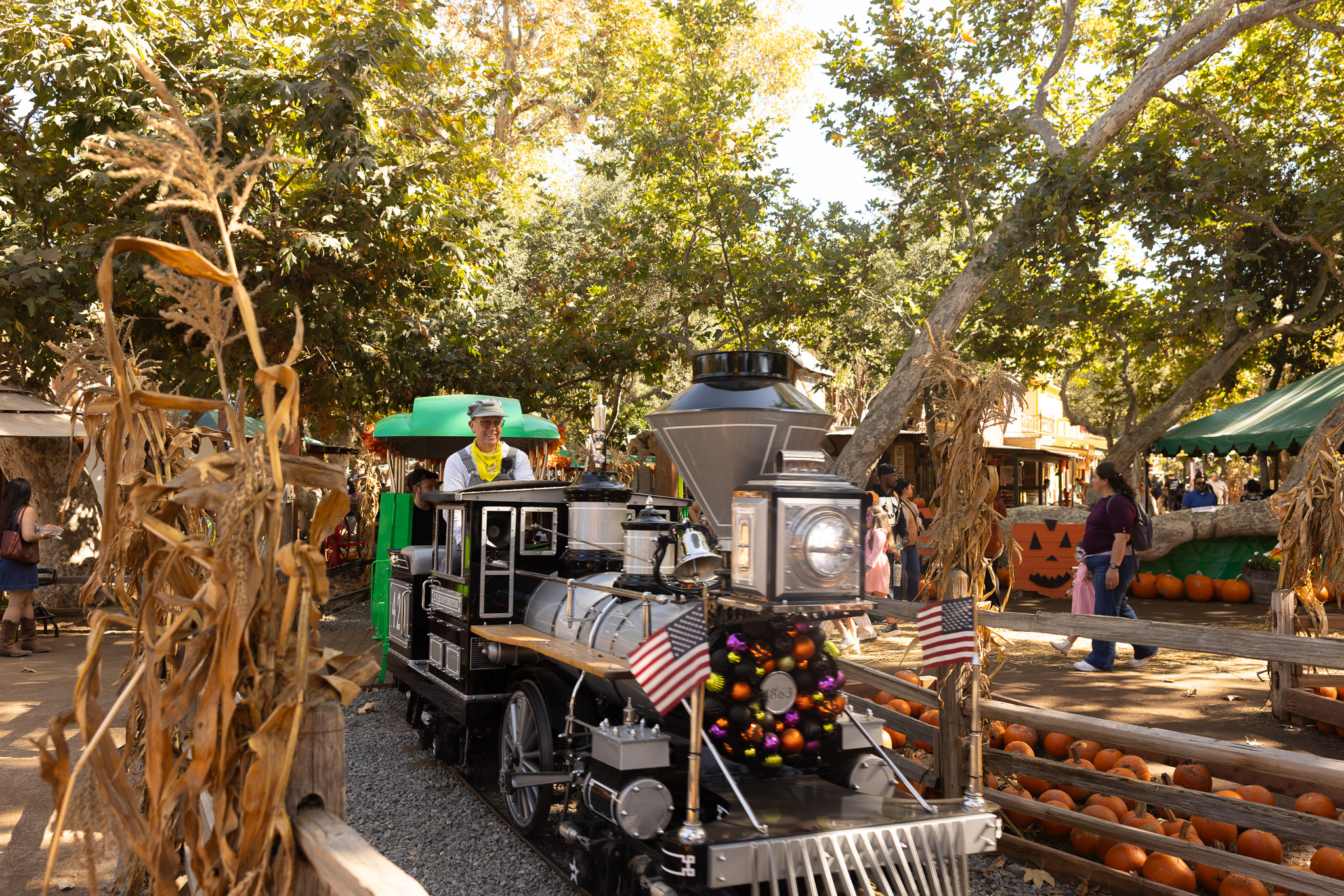 Miniature train passing pumpkins at Irvine Park Railroad
