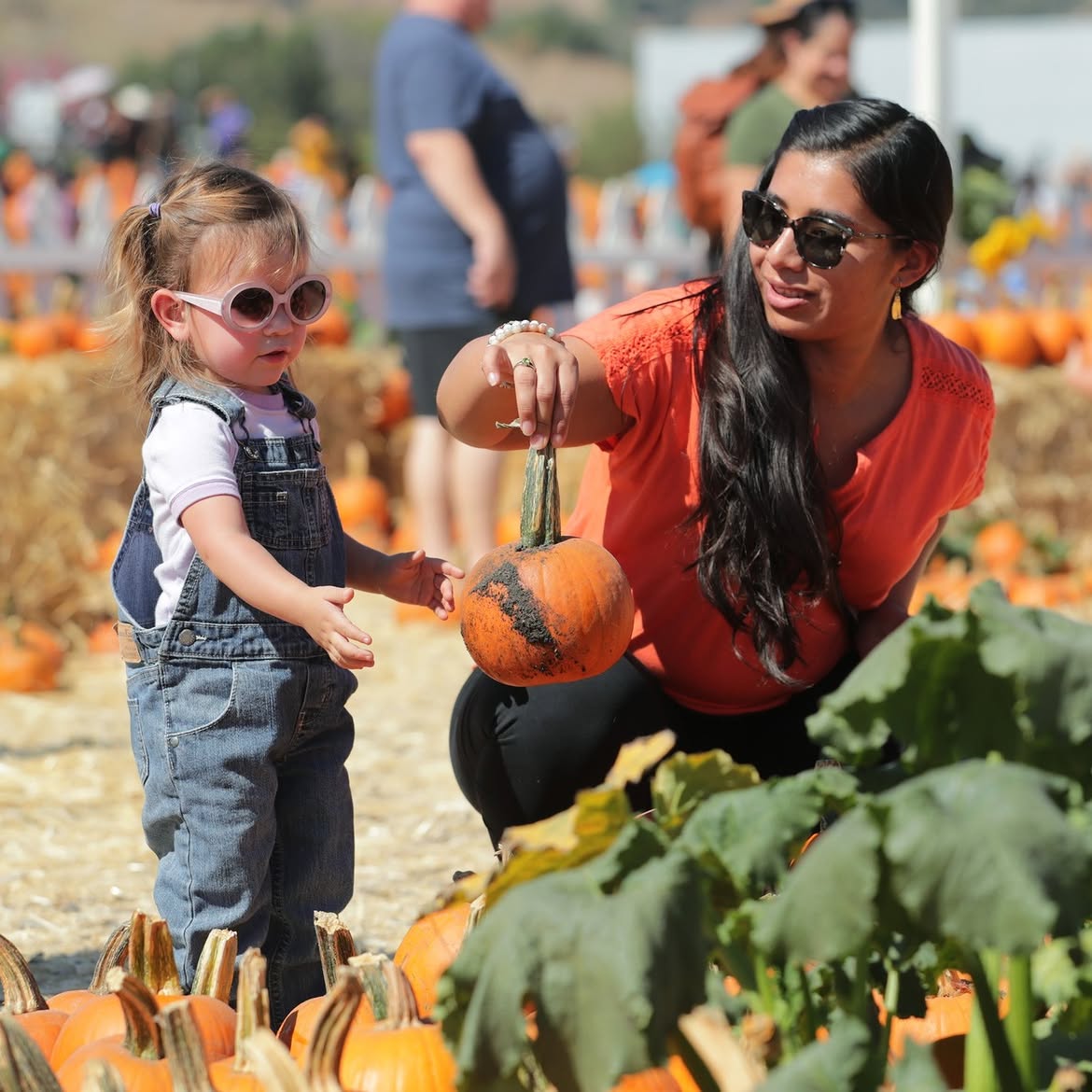 Adult and child selecting a pumpkin at PumpkinFest